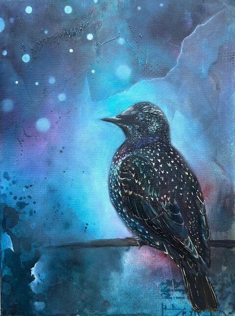 Borrowing Starling