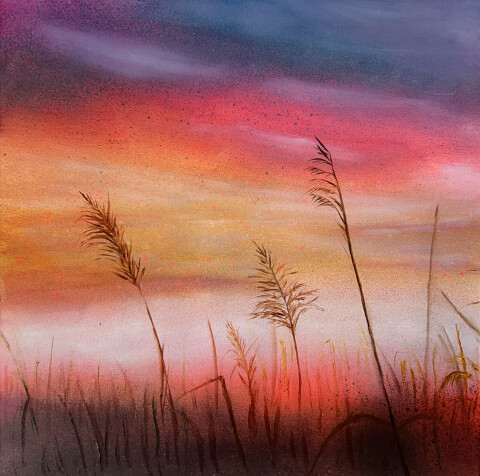 Morning Grasses 6 23am