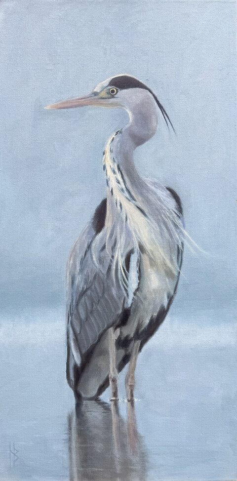 Reiger