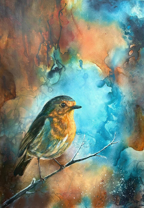 Undimmed Robin